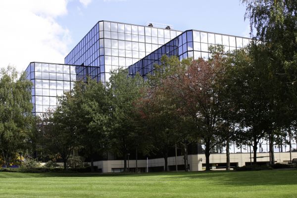 Commercial Tree Trimming in Johnson City